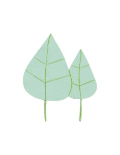 B.3U CARTUL.MAGNET. NIEFENVER 24X15CM VER. 1300158