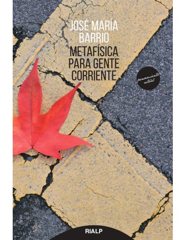 Metafsica para gente corriente