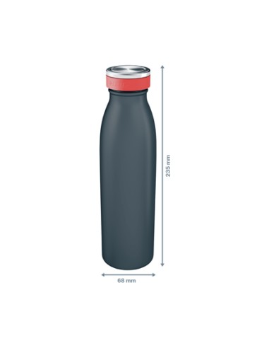 Insulated Uso diario 500 ml Acero inoxidable Negro