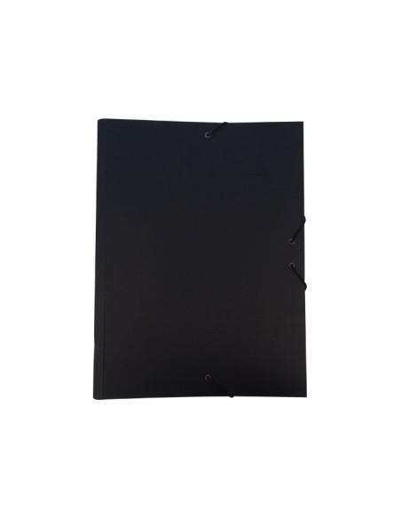 CARP.CLASIFICAD.COLOR NEGRO FOLIO