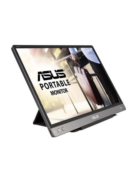MB14AC pantalla para PC 35,6 cm (14") 1920 x 1080 Pixeles Full HD Gris