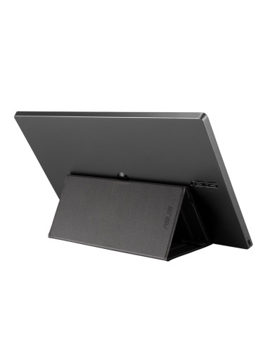 MB14AC pantalla para PC 35,6 cm (14") 1920 x 1080 Pixeles Full HD Gris