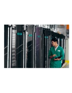 NS204i-u Gen11 controlado RAID PCI Express