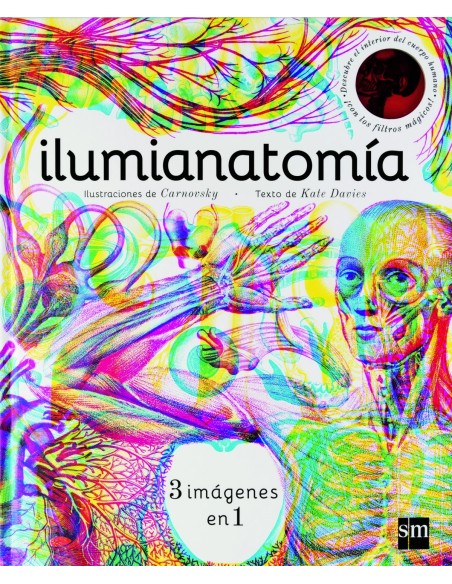 ILUMIANATOMIA