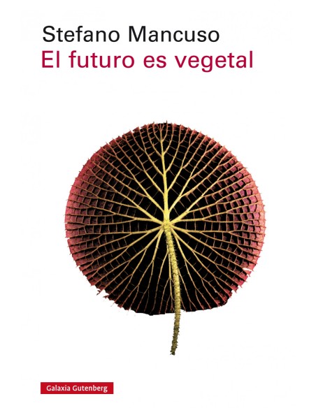 EL FUTURO ES VEGETAL