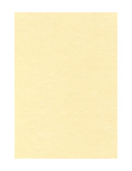 PAPEL PERGAMINO A4 APLI 95g 100h CHAMPAN
