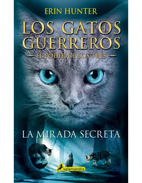 LA MIRADA SECRETA