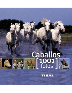 Caballos