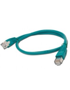 1m CAT6 cable de red Verde F/FTP (FFTP)