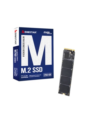 M760 256 GB M.2 PCI Express 4.0 NVMe