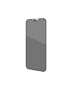 PRIVACYF1026BK protector de pantalla o trasero para teléfono móvil Apple 1 pieza(s)