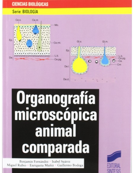 ORGANOGRAFIA MICROSCOPICA ANIMAL COMPARADA 