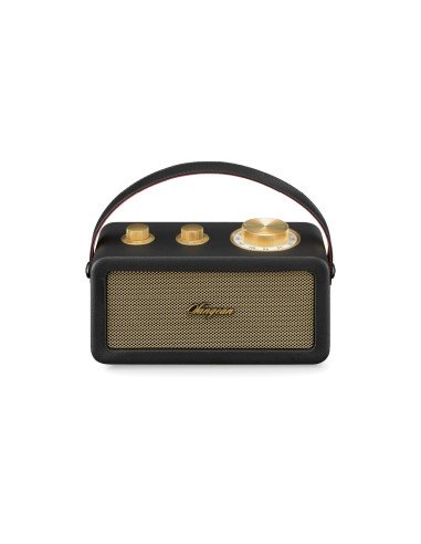 RA-101 Portátil Analógica Negro, Oro