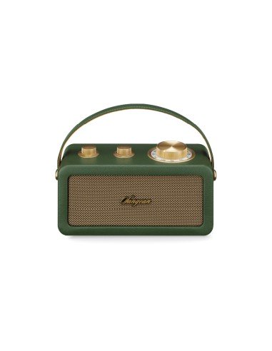 RA-101 Portátil Analógica Oro, Verde