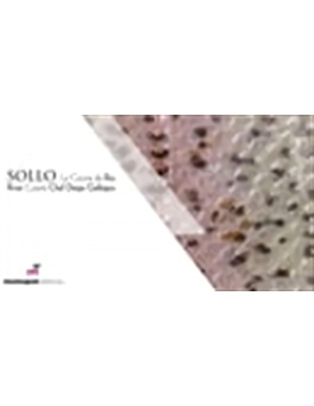 SOLLO LA COCINA DE RIO SOLLO RIVER CUISINE