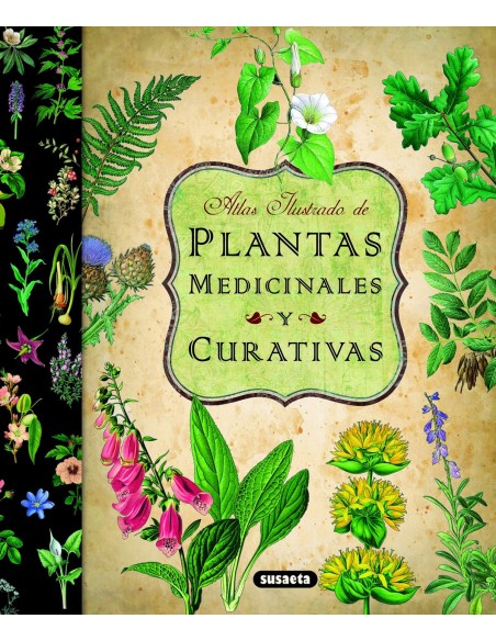 Atlas ilustrado de las plantas medicinales y curativas