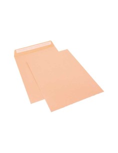 C.250 BOLSAS USO GRAL. SAM 100G 229X324 CELULOSA