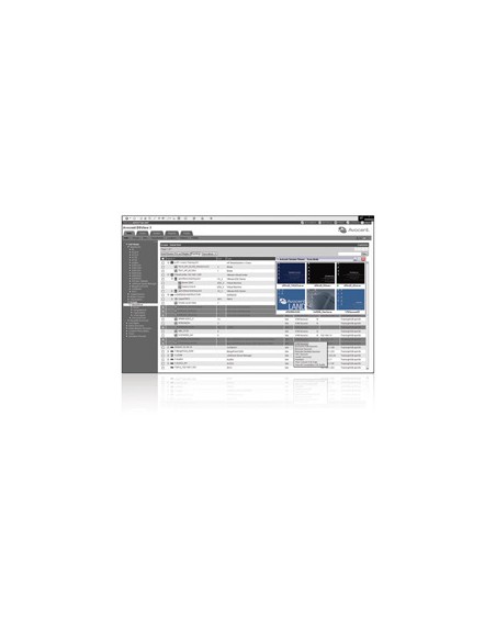 DSView 3 Spoke add-on license 1 año(s)
