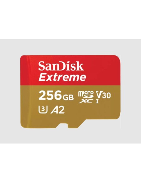 Extreme 256 GB MicroSDXC UHS-I Clase 3