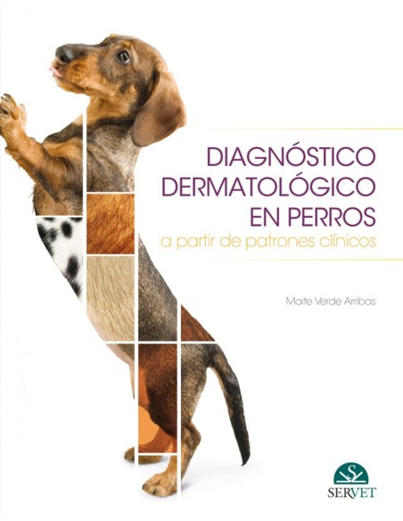 DIAGNOSTICO DERMATOLOGICO EN PERROS