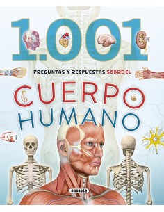 CUERPO HUMANO