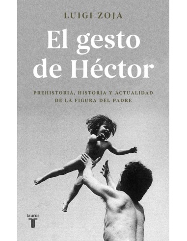 EL GESTO DE HECTOR