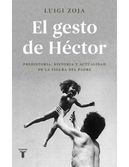 EL GESTO DE HECTOR