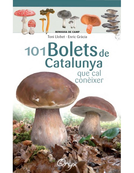 101 BOLETS DE CATALUNYA