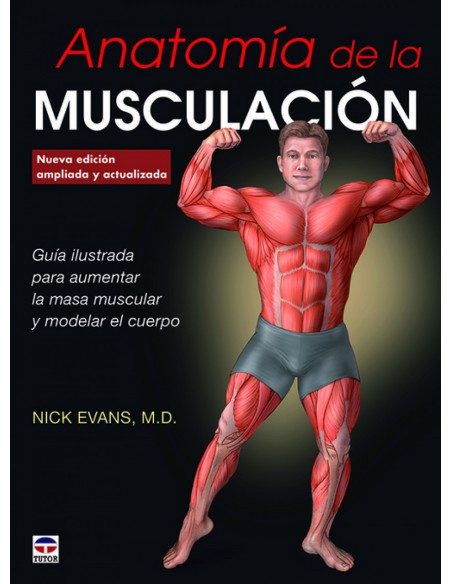ANATOMIA DE LA MUSCULACION