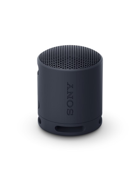 SRS-XB100 Altavoz monofónico portátil Negro