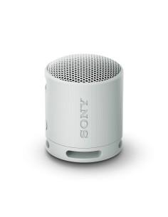 SRS-XB100 Altavoz monofónico portátil Gris