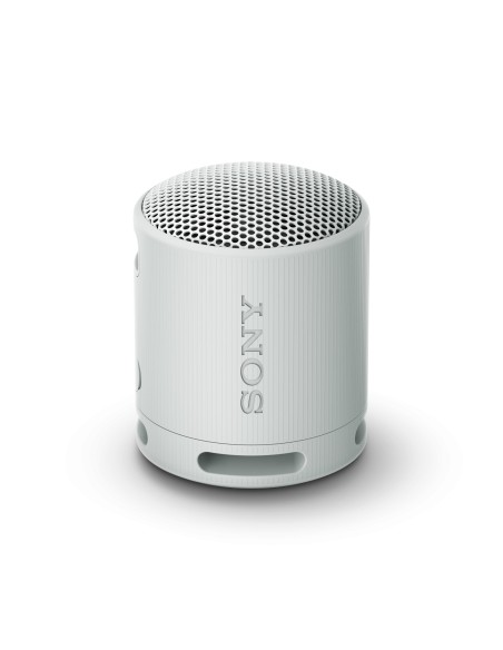 SRS-XB100 Altavoz monofónico portátil Gris