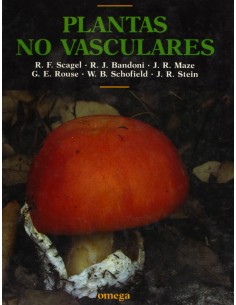 PLANTAS NO VASCULARES