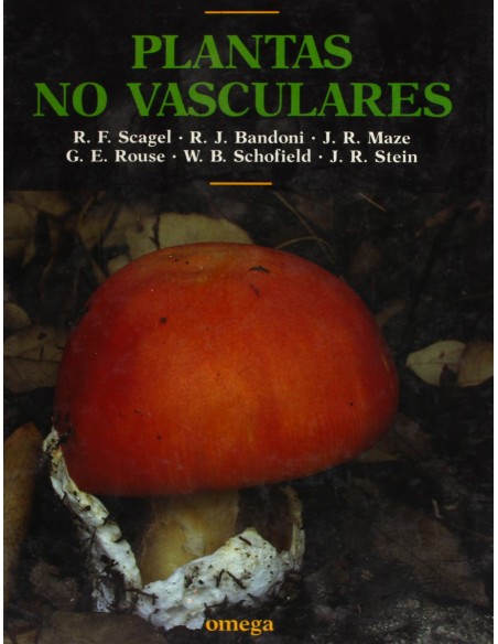 PLANTAS NO VASCULARES