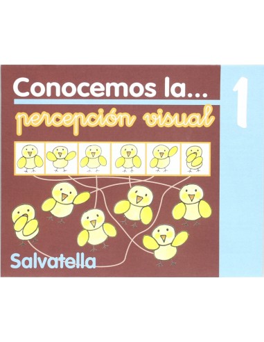 Conocemos percepcion visual 1