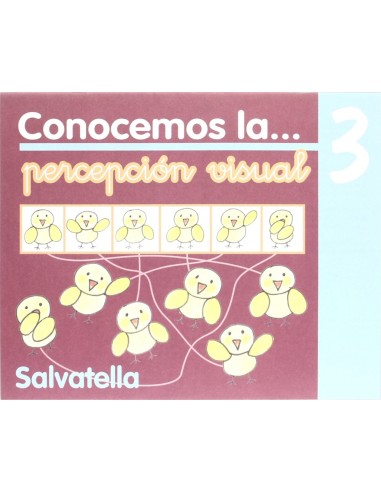 Conocemos percepcion visual 3