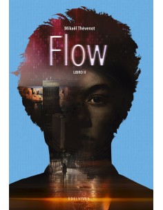 FLOW PARTE II