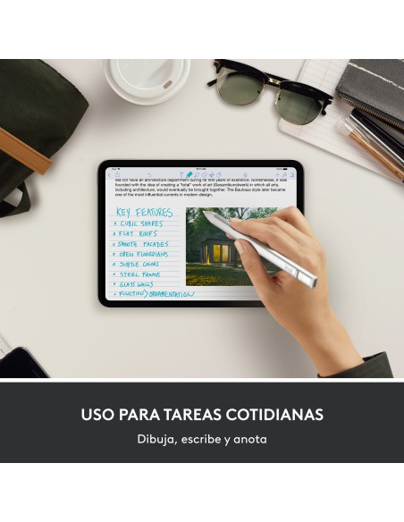 Crayon lápiz digital 20 g Plata