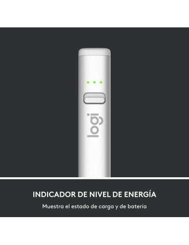 Crayon lápiz digital 20 g Plata