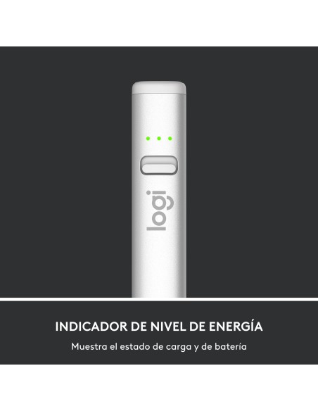 Crayon lápiz digital 20 g Plata