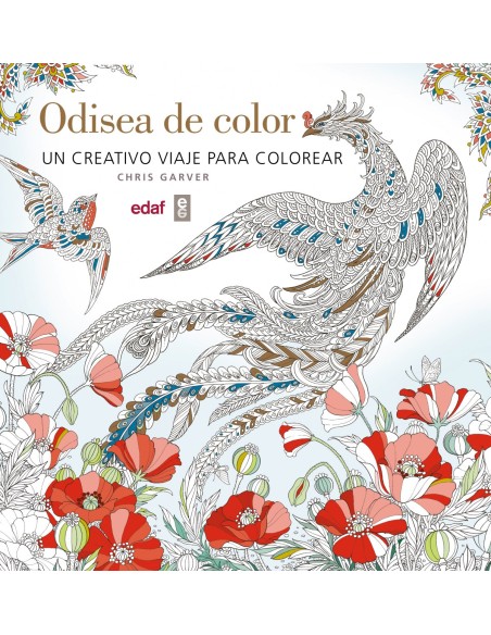 ODISEA DE COLOR
