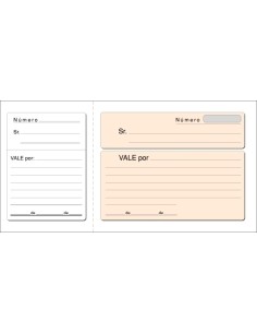 TALONARIO VALES LOAN