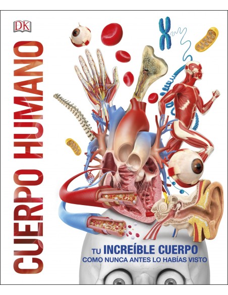 CUERPO HUMANO