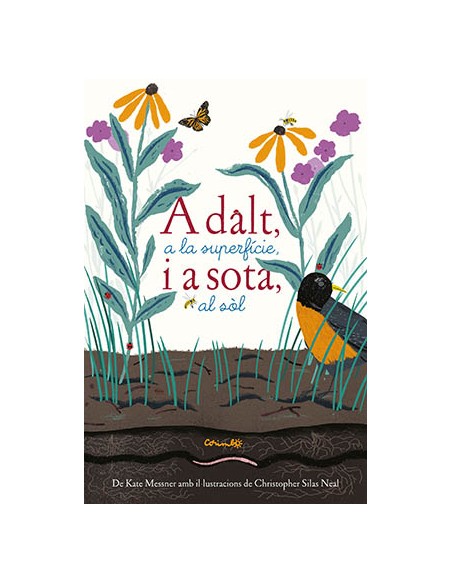 ADALT A LA SUPERFICIE I A SOTA AL SOL