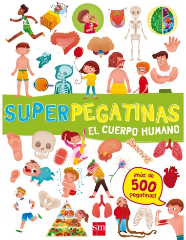 EL CUERPO HUMANO