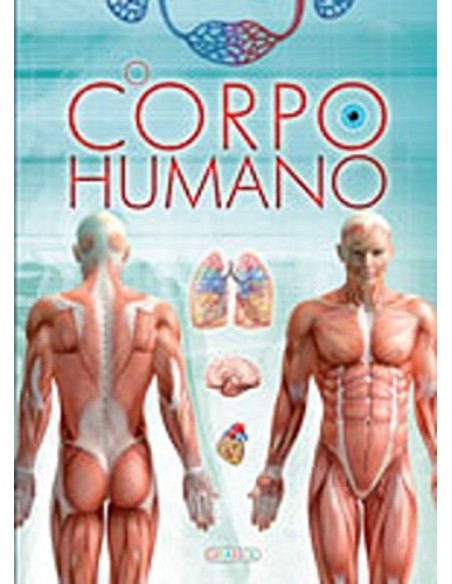 O CORPO HUMANO
