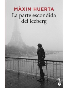 LA PARTE ESCONDIDA DEL ICEBERG