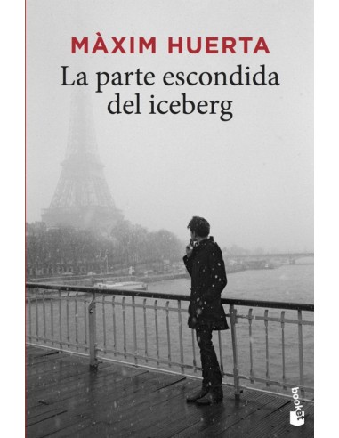 LA PARTE ESCONDIDA DEL ICEBERG