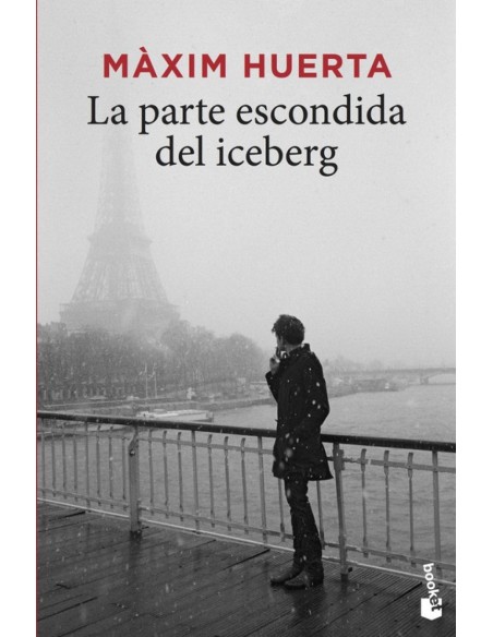 LA PARTE ESCONDIDA DEL ICEBERG