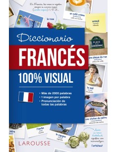 DICCIONARIO DE FRANCES 100 VISUAL